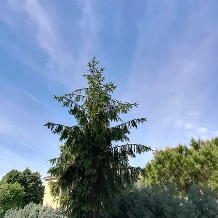 Venice Primavera בית הארחה 2*
