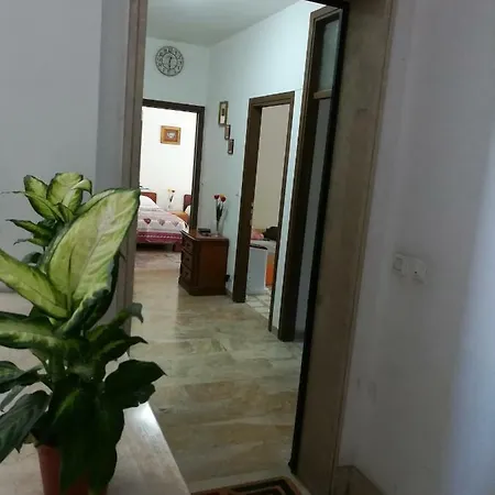 Venice Primavera בית הארחה מרגרה