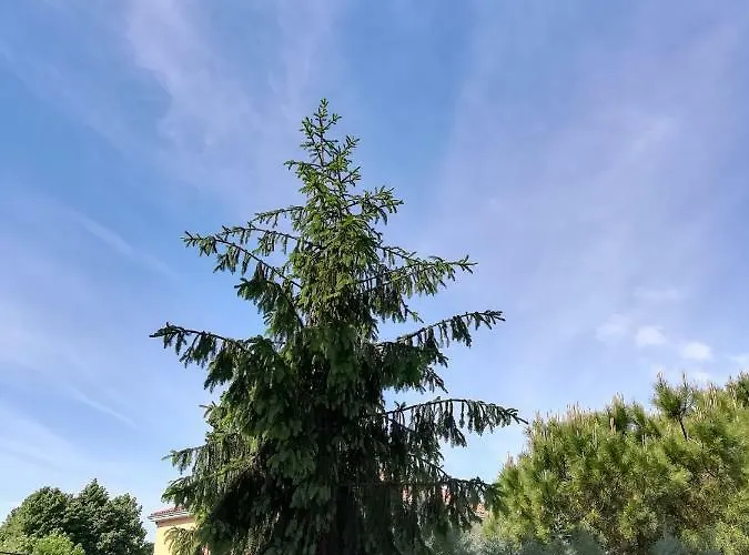 Venice Amazing House Gasthof 2*